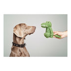 Giocattolo per Cani Gloria Pinky Coccodrillo Verde