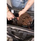 V4HAE2BF44DE0E8CBF2900F55603A1654E0R6716261P5