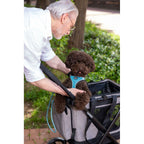 V4H7A630081A22F85A342C38BD4920AF22AR6716266P4