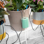 Sistema Automatico di Irrigazione a Goccia per Vasi Regott InnovaGoods