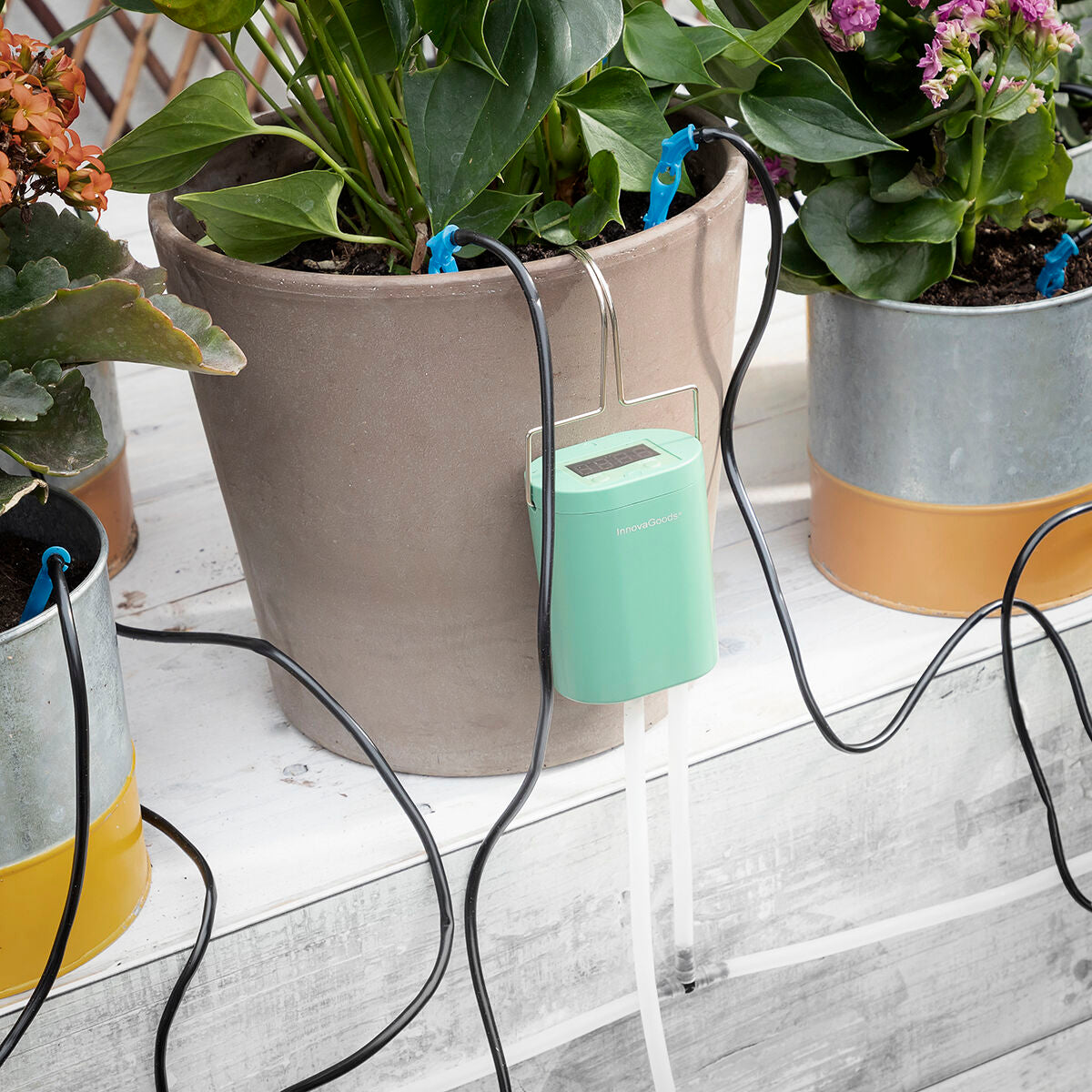 Sistema Automatico di Irrigazione a Goccia per Vasi Regott InnovaGoods