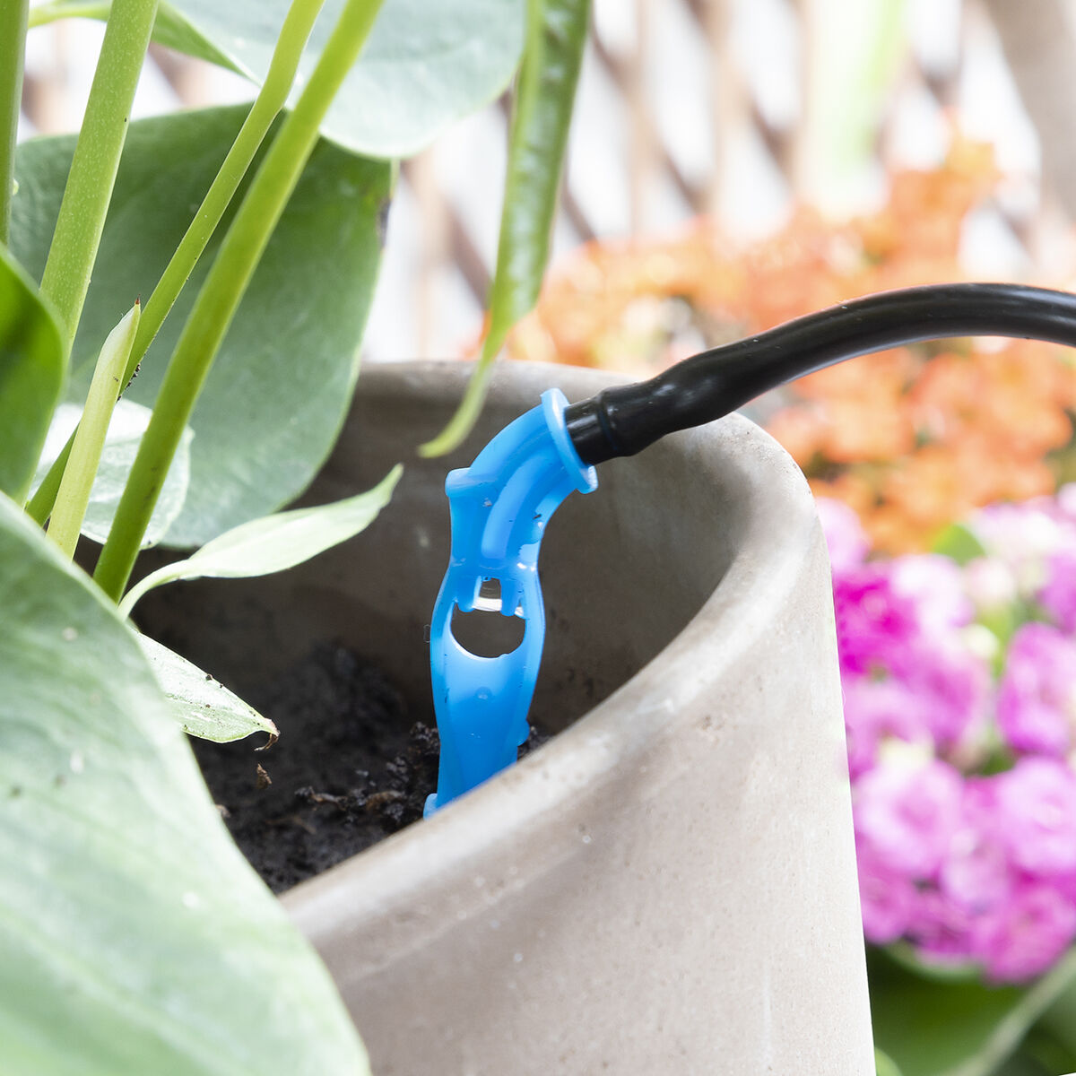 Sistema Automatico di Irrigazione a Goccia per Vasi Regott InnovaGoods