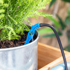 Sistema Automatico di Irrigazione a Goccia per Vasi Regott InnovaGoods
