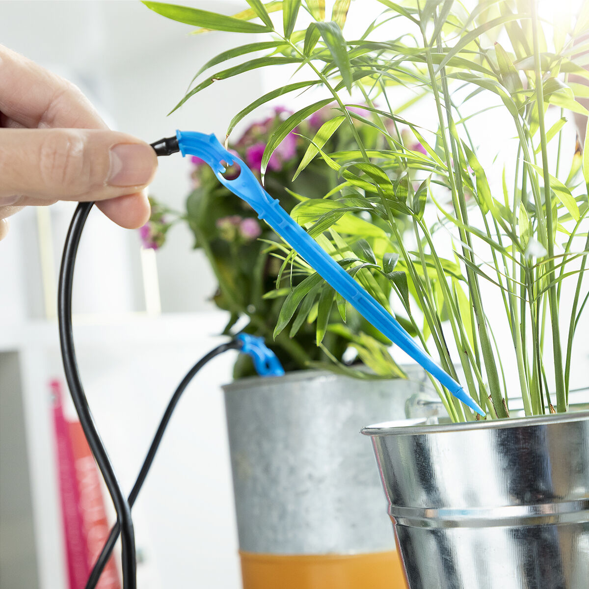 Sistema Automatico di Irrigazione a Goccia per Vasi Regott InnovaGoods