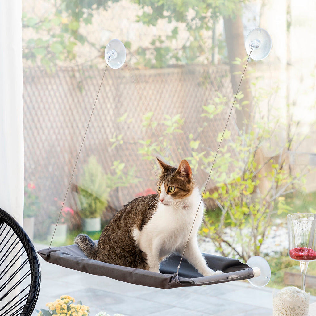 Amaca Sospesa per Gatti Catlax InnovaGoods
