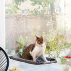 Amaca Sospesa per Gatti Catlax InnovaGoods