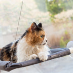 Amaca Sospesa per Gatti Catlax InnovaGoods
