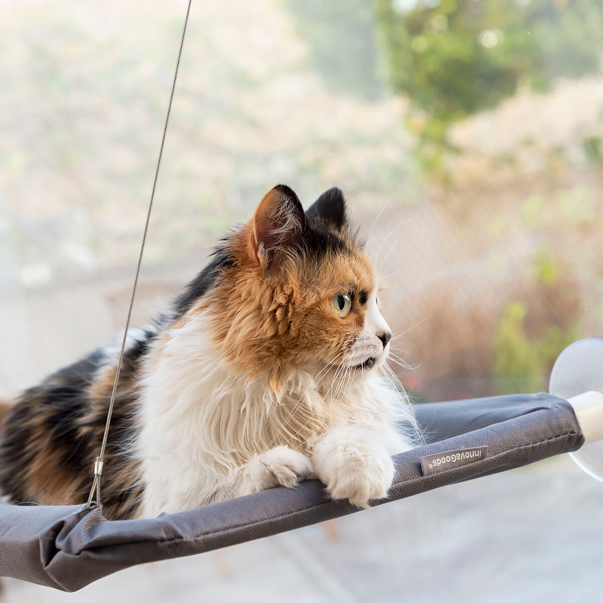 Amaca Sospesa per Gatti Catlax InnovaGoods