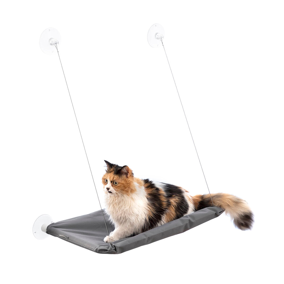 Amaca Sospesa per Gatti Catlax InnovaGoods