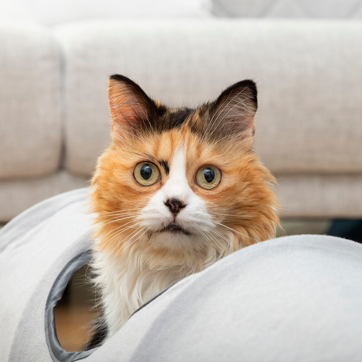 Tunnel Pieghevole per Animali Domestici InnovaGoods