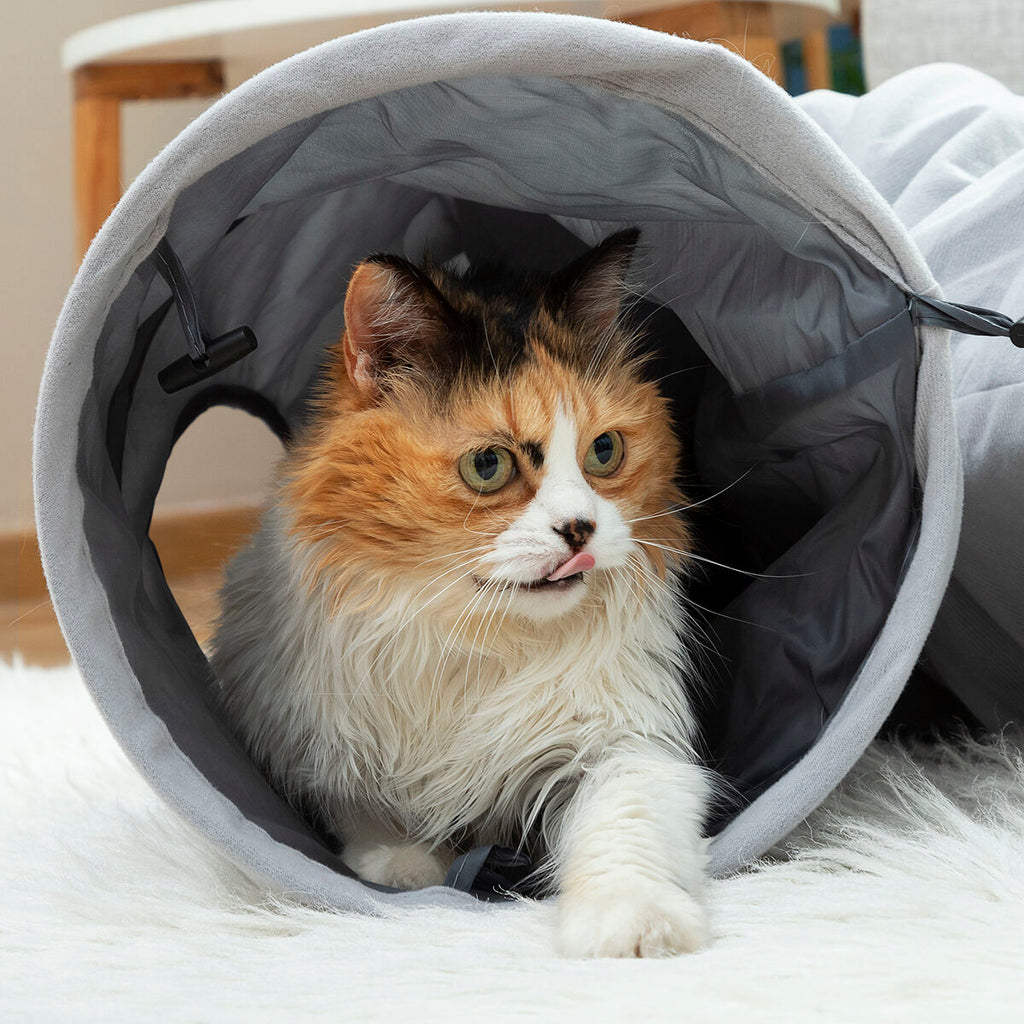Tunnel Pieghevole per Animali Domestici InnovaGoods
