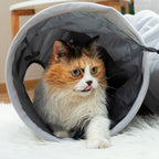 Tunnel Pieghevole per Animali Domestici InnovaGoods