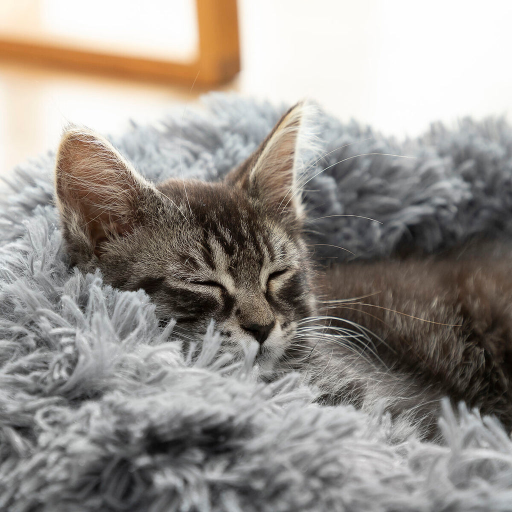 Letto Anti-Stress per Animali Bepess InnovaGoods Ø 60 cm