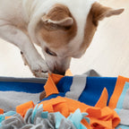 Tappetino Olfattivo per Animali Fooland InnovaGoods